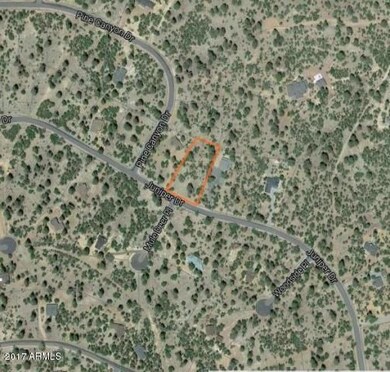 Pine Canyon 6