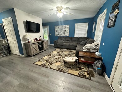 65 Pleasant Hill Rd, Springville, TN 38256 - photo 3