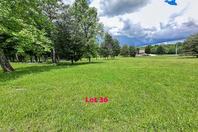 Lot 36 Ground