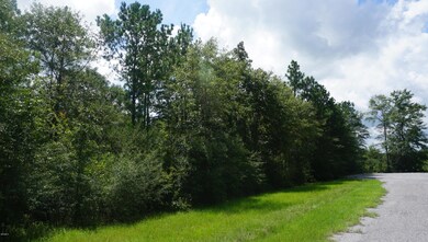 Lot #9 Mill Creek Rd, Lucedale, MS 39452 - photo 5