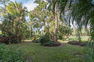 Lush Tropical Surroundings