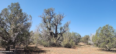 408 N2 Caprica Rd, Ash Fork, AZ 86320 - photo 7