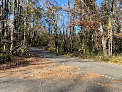 00 Brook St, Honea Path, SC 29654 - photo 3