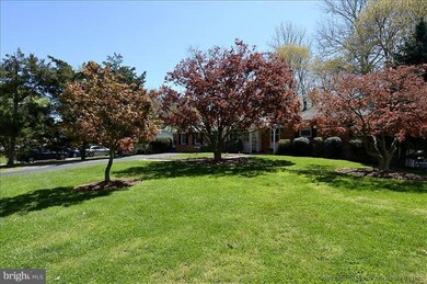 1205 Ednor Rd, Silver Spring, MD 20905 - photo 6