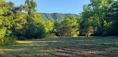 0 Colyer Rd, Greeneville, TN 37743 - photo 4