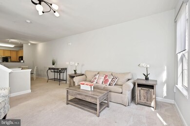 22549 Blue Elder Terrace, Ashburn, VA 20148 - photo 7