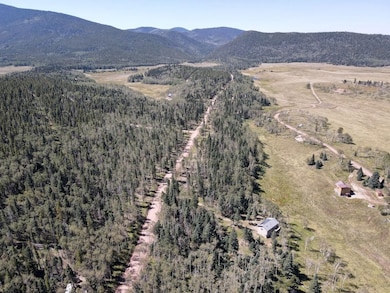 0 Petito Dr unit 25748588, Fort Garland, CO 81133 - photo 7