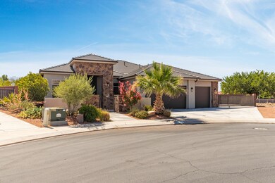 379 Chuckwalla-3