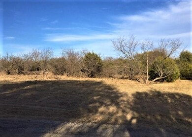 L7BA Floyd Ct, Weatherford, TX 76087 - photo 6