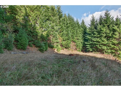 0 Knightsbridge Rd unit 787378359, Ariel, WA 98601 - photo 7