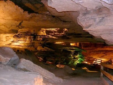 5 AC Devils Gap Rd, Rogers, AR 72756 - photo 3