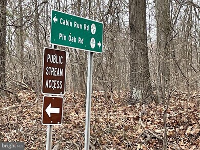 6588 Paw Paw Rd, Paw Paw, WV 25434 - photo 6