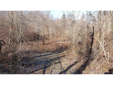 5850 Wetmore Rd, Conneaut, OH 44030 - photo 6