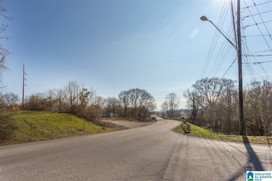 0 Friendship Rd unit 1 acre 835862, Oxford, AL 36203 - photo 4