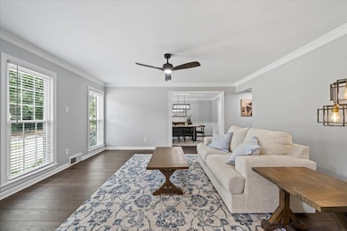 Living room with crown molding, dark wood-type flooring, ceiling fan, and a chandelier