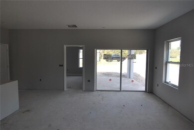 Living Room facing Lanai