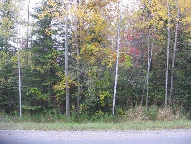 Roadside View