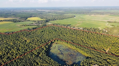 00 Herrington Rd, Hazlehurst, GA 31539 - photo 5