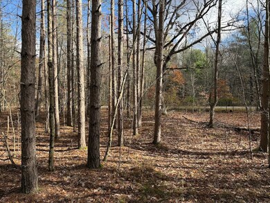 00 Carnes School Rd Lot unit WP001, Cranberry, PA 16319 - photo 3