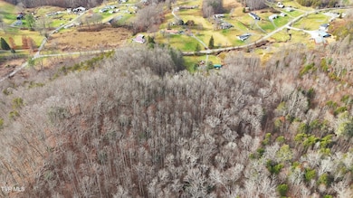 Tbd River Ln, Coeburn, VA 24230 - photo 4