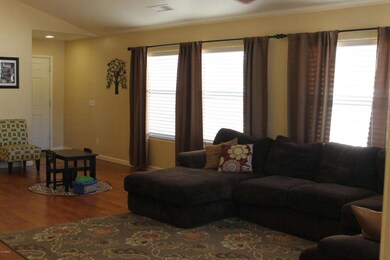 Living Room Windows