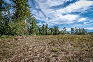 2753 E Badger Rd, Everson, WA 98247 - photo 3