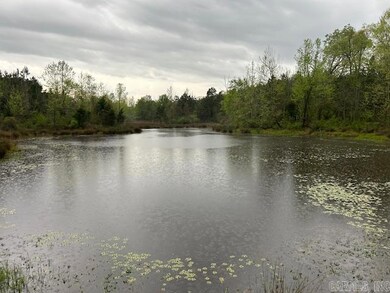 2285 Hempstead Road 16, Blevins, AR 71825 - photo 3