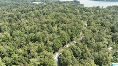0 Gibson Cove Dr unit 7.10 Acres Plus . 58, Ashville, AL 35953 - photo 4