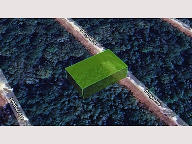 P44M+6GG Florahome unit Florida USA, Florahome, FL 32140 - photo 3