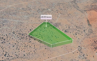 0 Bar L Trail unit 1092847, Corona, NM 88318 - photo 7