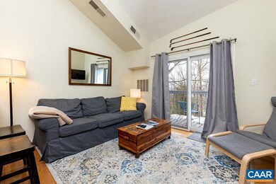 224 Timbers Condos, Wintergreen, VA 22958 - photo 3