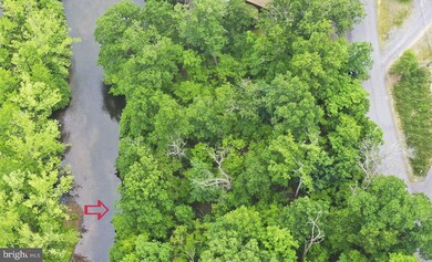 1229 Lakeview Dr, Cross Junction, VA 22625 - photo 3