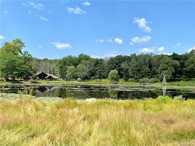 79 Bisch Rd, Middletown, NY 10940 - photo 3