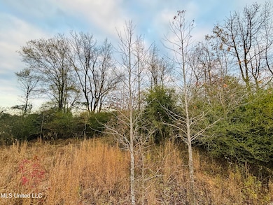 0 Roger Reid Rd, Conehatta, MS 39057 - photo 6