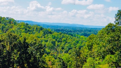 12985 U S 65, Saint Joe, AR 72675 - photo 5