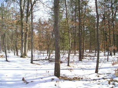 1276 W Coolidge St, Bitely, MI 49309 - photo 4