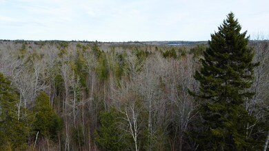 Mid level trees