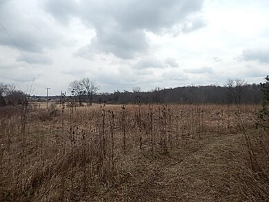 DSCN4652
