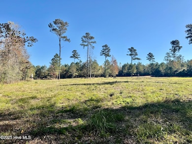 0 Near 4294 James B Wh, Whiteville, NC 28472 - photo 3