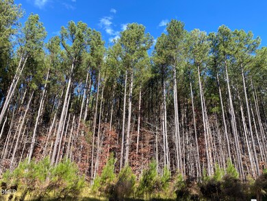 586 Anneliis Ln, Siler City, NC 27344 - photo 3