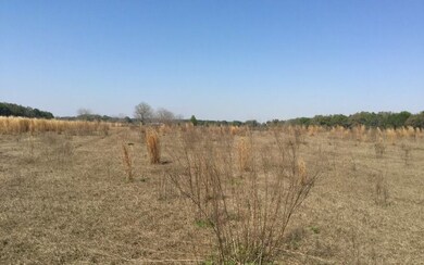 0 Galilee Loop unit 97072, Lake City, FL 32024 - photo 4