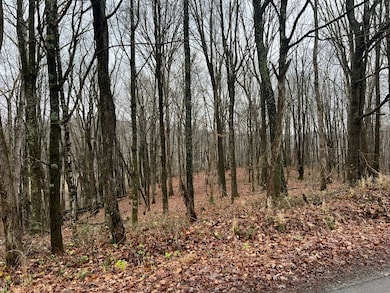 0 Wildcat Hill Rd unit 83419, Gap Mills, WV 24941 - photo 7