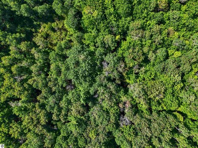 00 W Arnold Rd, Manton, MI 49663 - photo 6