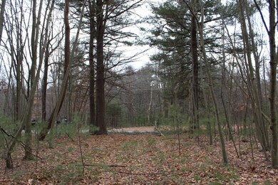 13 Longhorn Rd, Union Township, PA 16652 - photo 6