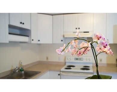 12 Riverside St unit 2-4, Watertown, MA 02472 - photo 5