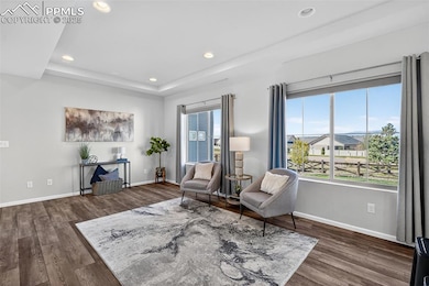 MAIN LEVE GREAT ROOM WITH TONS OF NATURAL LIGHT AND PIKES PEAK VIEW!