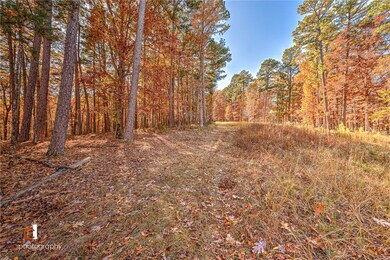 TBD Rosebud Ln, Rogers, AR 72756 - photo 4