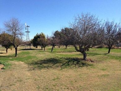 Citrus - Fruit-Nut Orchard 2