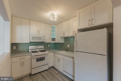 6139 Leesburg Pike unit 304, Baileys Crossroads, VA 22041 - photo 7