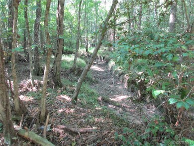 38 Beagle Chase, Prince George, VA 23842 - photo 7